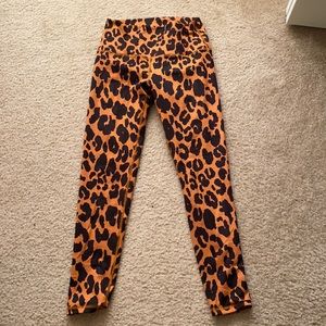 El Toro 25” Leopard Spice-Romey Free FLEO